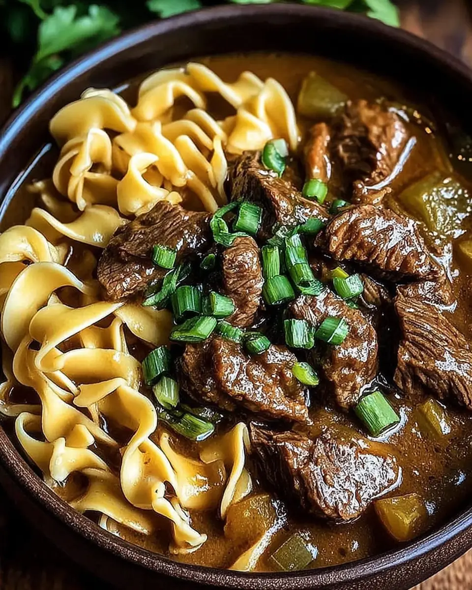 A delicious plate of Slow Cooker Beef Noodles